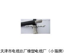 国标精品9999,匠心独运,品质卓越的典范之作